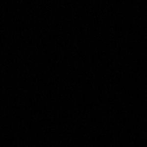 Meet your Posher, Ginger